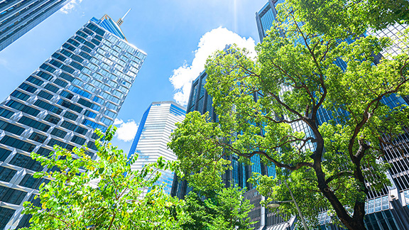 Trees and Buildings